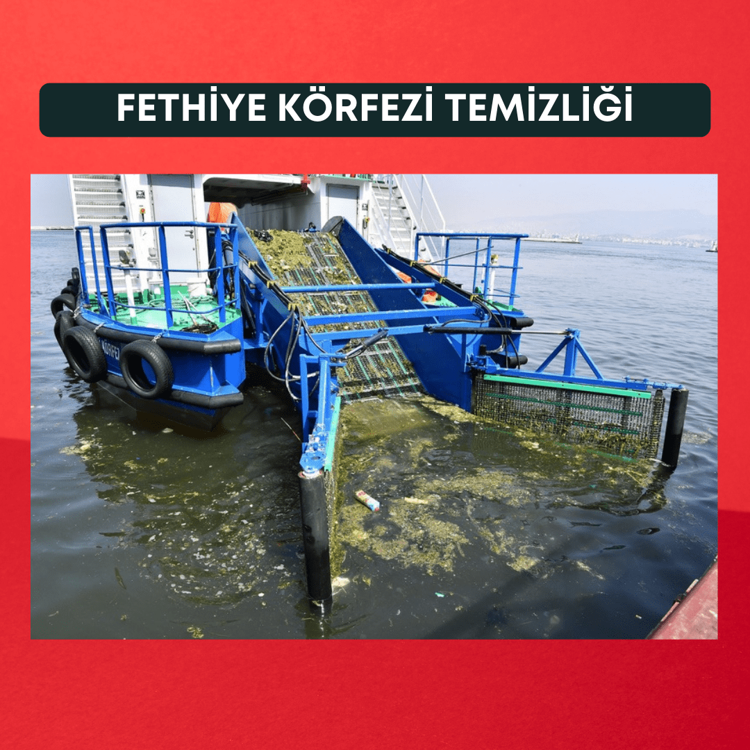 fethiye körfez temizliği